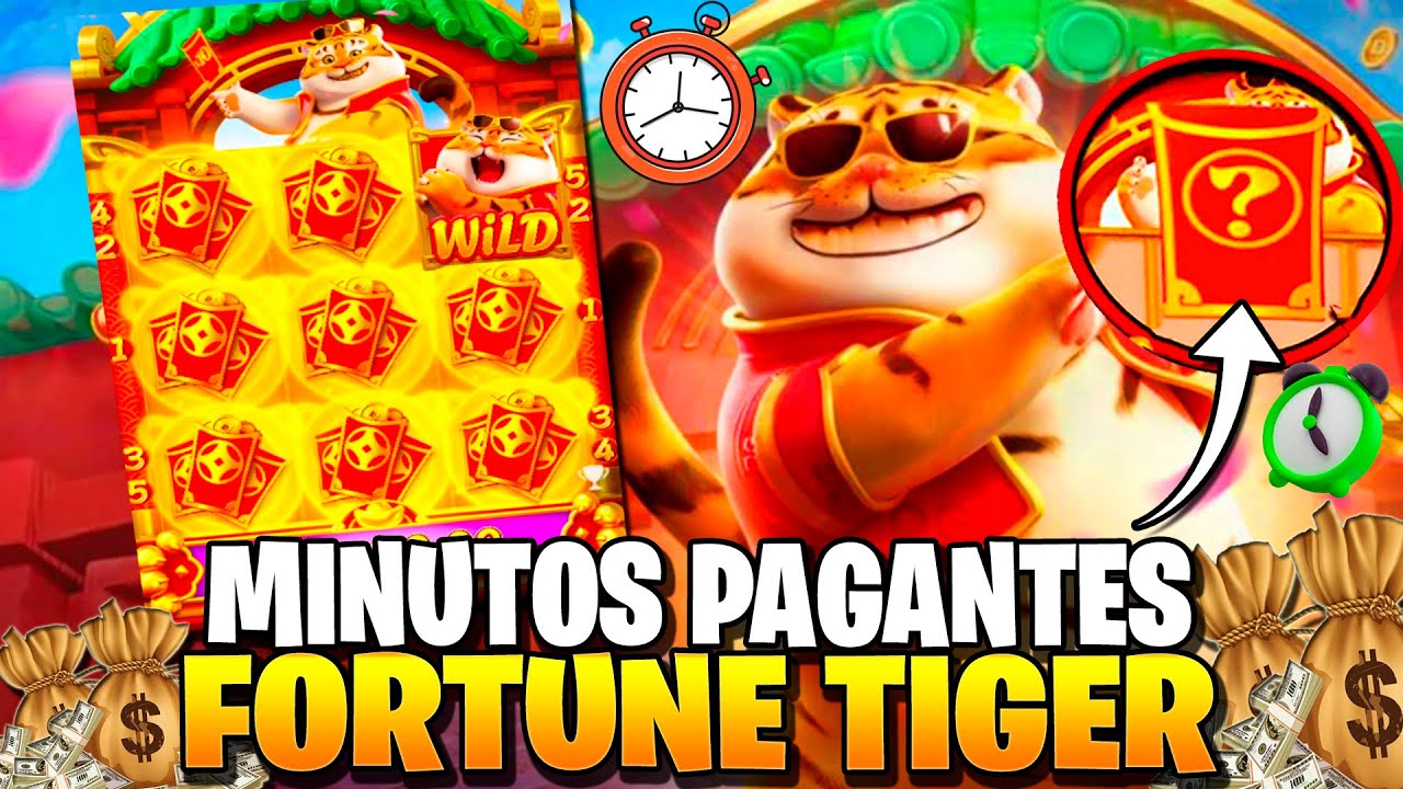 fortune mouse horarios